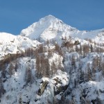 p1010139