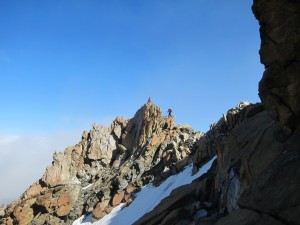IMG_3137