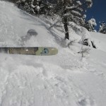 IMG_1696 IMG_1696