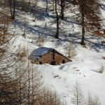 monterosso.inf_2