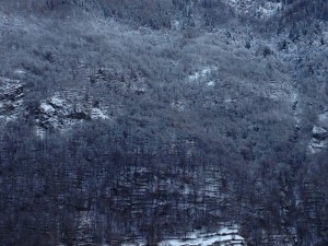 bruch de nef (800x600)