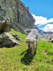 cielo e popi (600x800)
