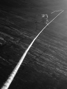 didi toro seduto (960x1280)