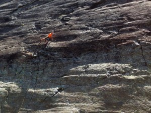 toro seduto  (1280x961)