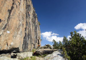 zoia terzo settore (1024x717)