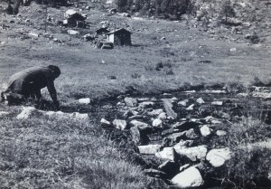 felicita-musella-rungiun-800x557